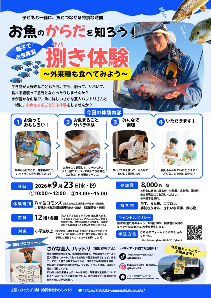 チラシ